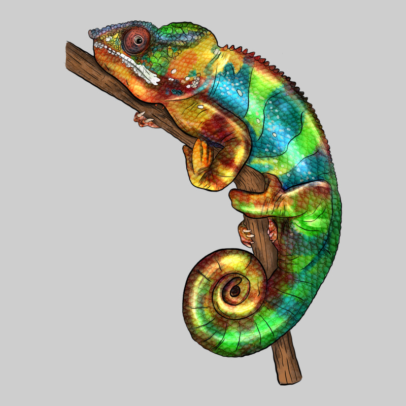 Chameleon Lizard Illustrations Premium Tee by LillyAllenDesigns | Teevron