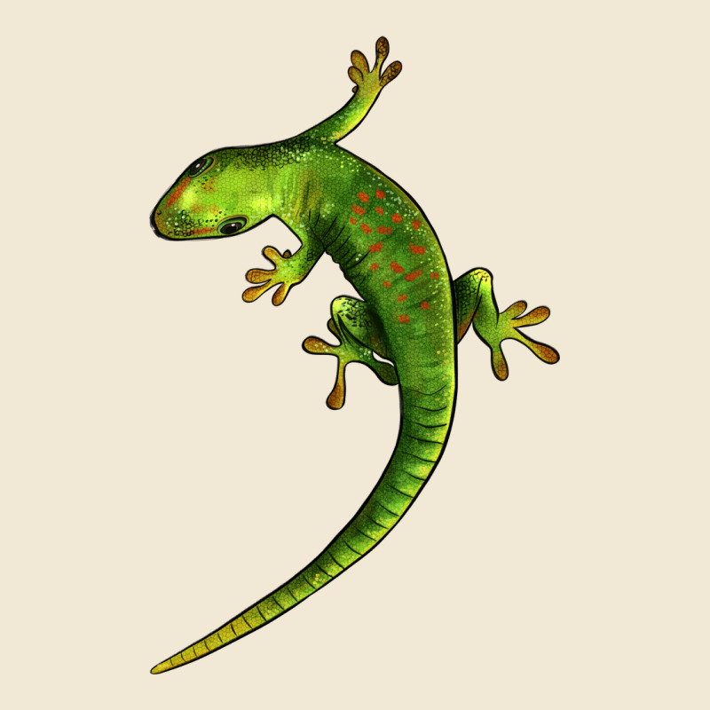 Green Lizard Illustrations Premium Tee by LillyAllenDesigns | Teevron