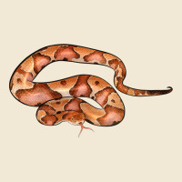 Copperhead Snake Illustrations Premium Tee | Teevron