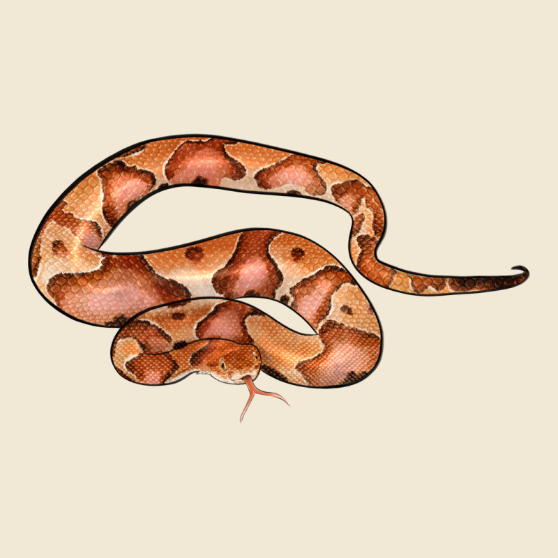 Copperhead Snake Illustrations Premium Tee by LillyAllenDesigns | Teevron