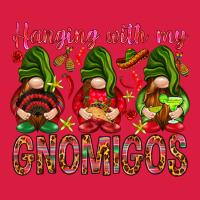 Hanging With My Gnomigos Mexico Premium Hoodie | Teevron