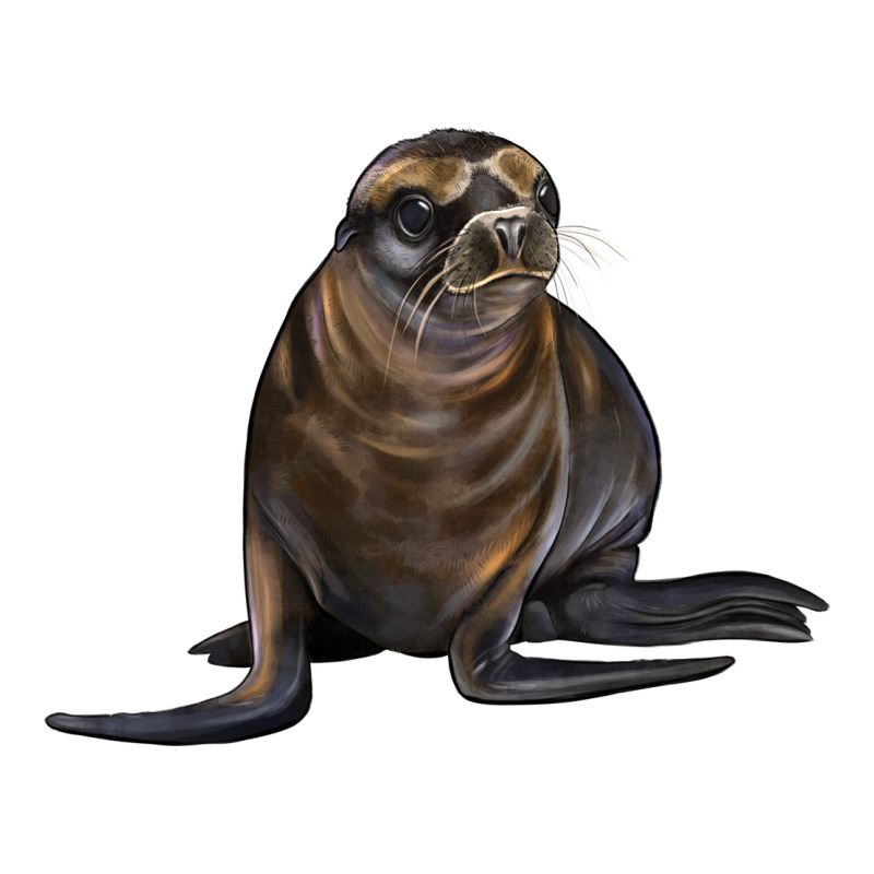Sea Lion Illustrations Premium Tee by LillyAllenDesigns | Teevron