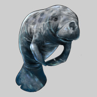 Manatee Illustrations Premium Tee | Teevron