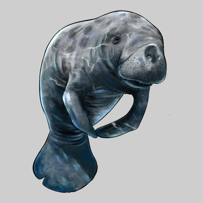 Manatee Illustrations Premium Tee by LillyAllenDesigns | Teevron