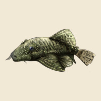 Bristlenose Placo Premium Tee | Teevron