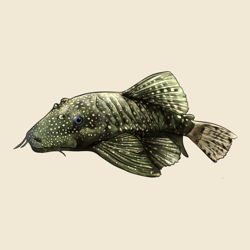 Bristlenose Placo Premium Tee by LillyAllenDesigns | Teevron