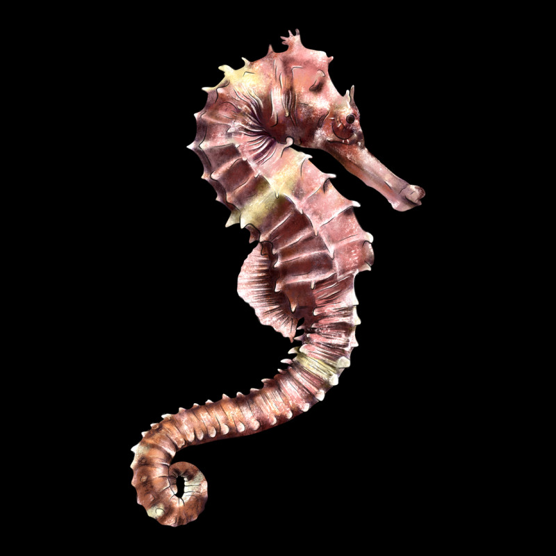 Pink Seahorse Premium Tee by LillyAllenDesigns | Teevron