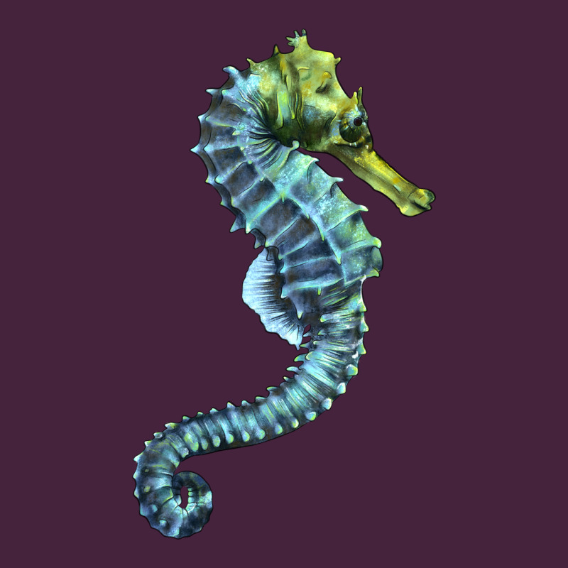 Blue Seahorse Premium Tee by LillyAllenDesigns | Teevron