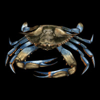 Crab Premium Tee | Teevron