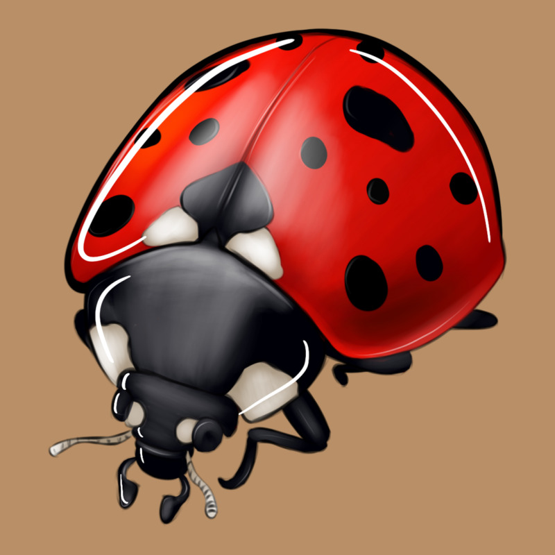 Ladybug Vintage Hoodie by Jasminsmagicworld | Teevron