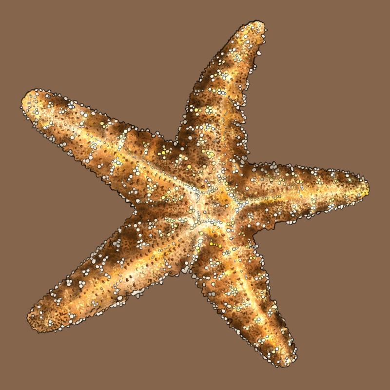 Starfish Premium Tee by LillyAllenDesigns | Teevron