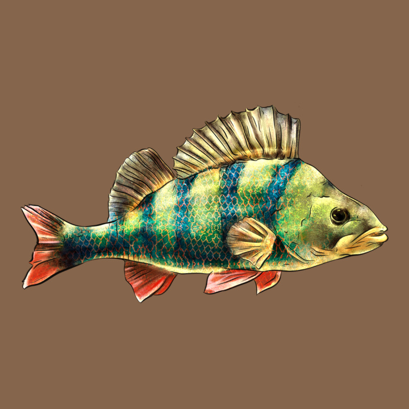 Perch Fish Premium Tee by LillyAllenDesigns | Teevron