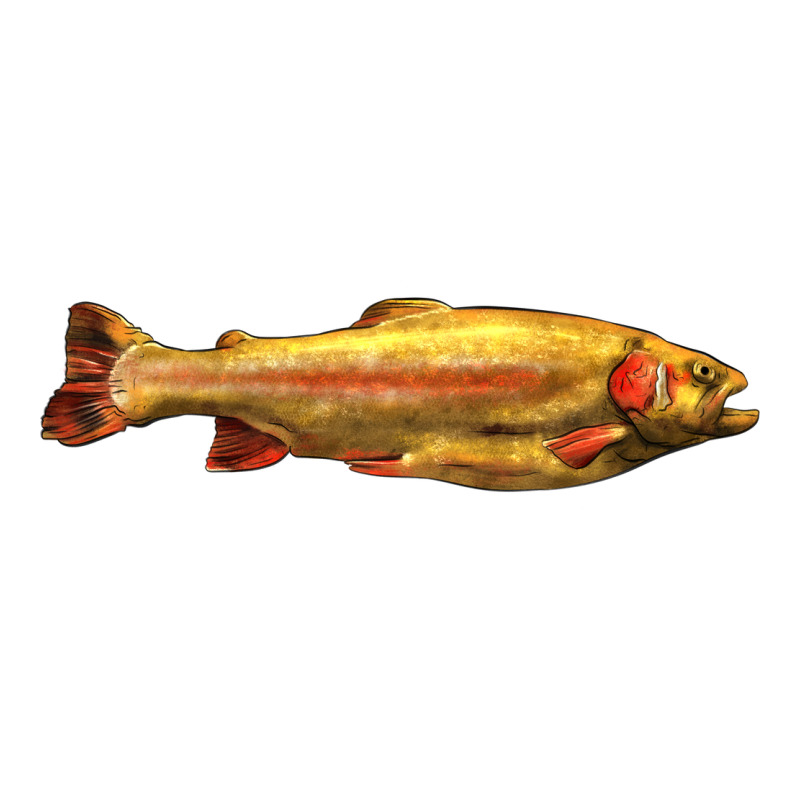 Golden Trout West Virginia Premium Tee by LillyAllenDesigns | Teevron