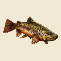 Brown Trout Premium Tee | Teevron