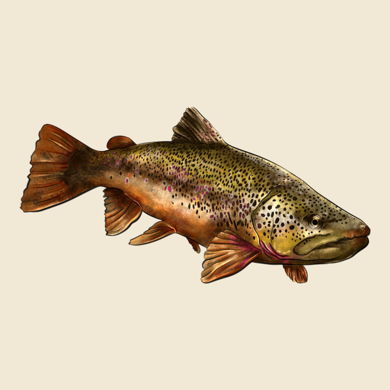Brown Trout Premium Tee by LillyAllenDesigns | Teevron