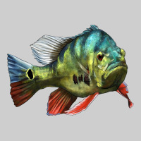 Peacock Bass Illustrations Premium Tee | Teevron
