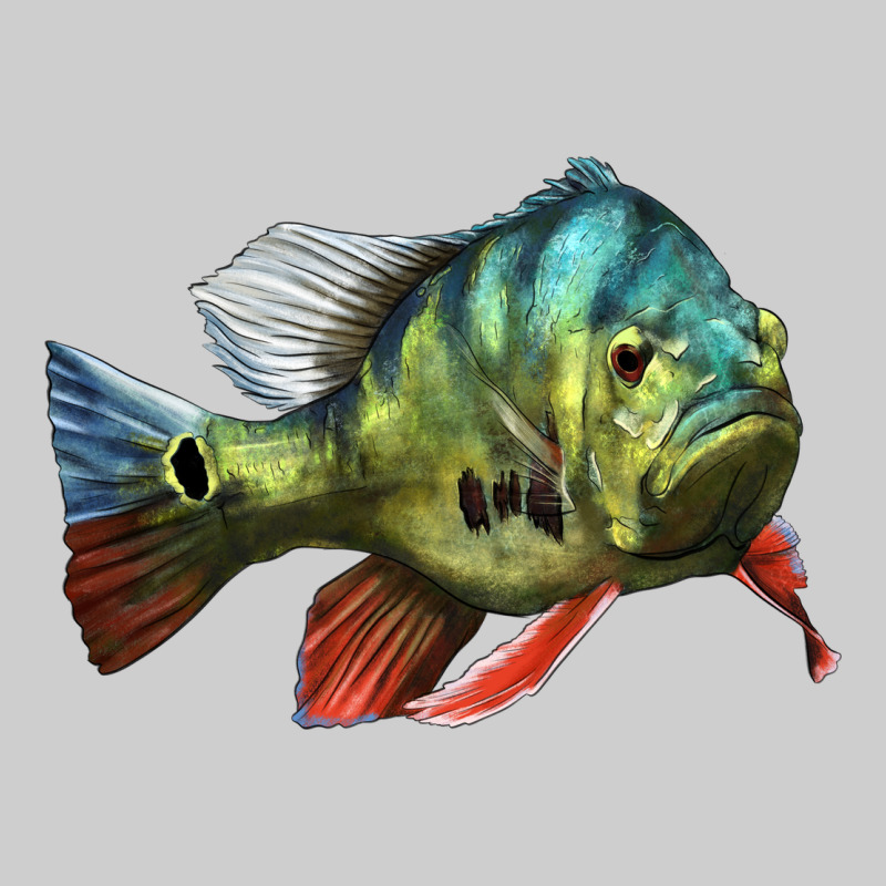 Peacock Bass Illustrations Premium Tee by LillyAllenDesigns | Teevron