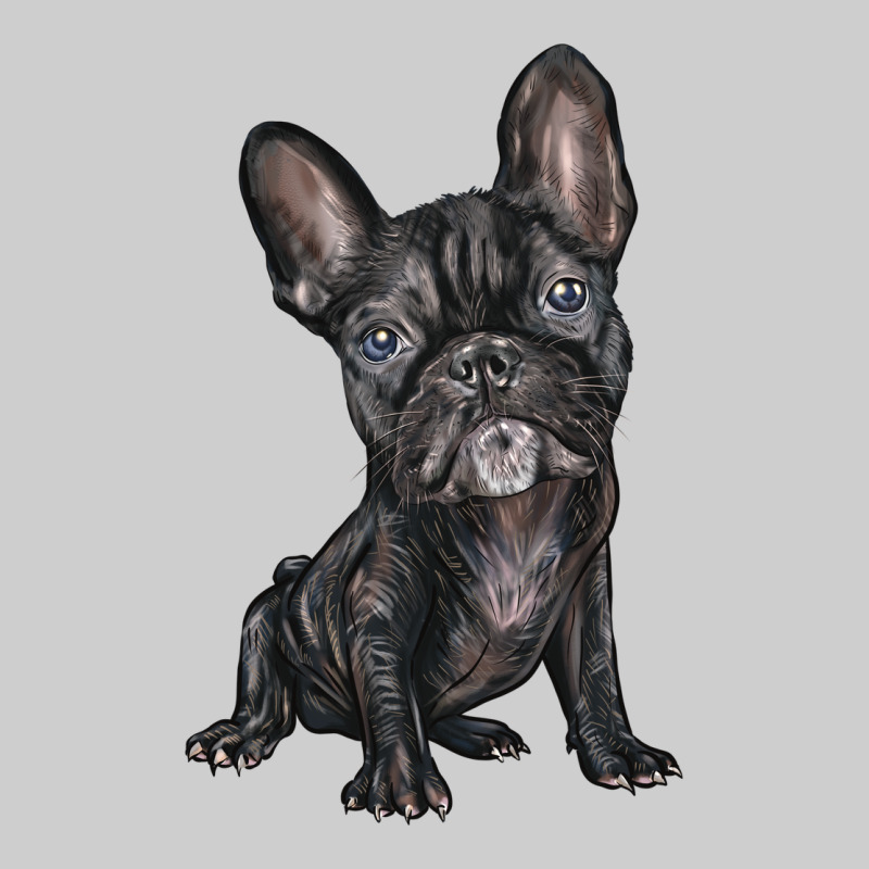 French Bulldog Premium Tee by BarkalooDesign | Teevron