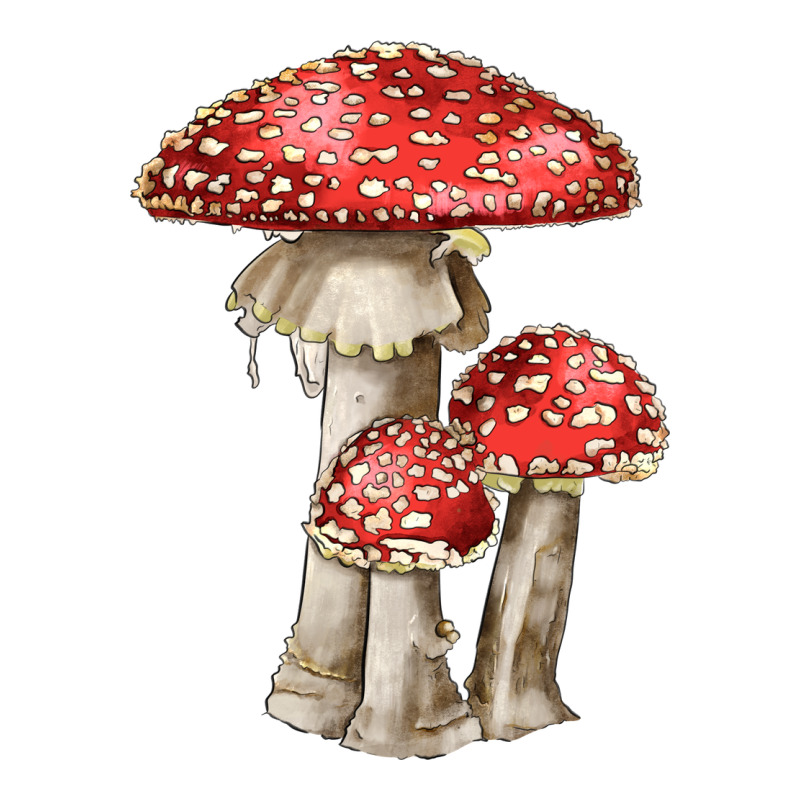Autumn Mushroom Illustrations Premium Tee by LillyAllenDesigns | Teevron