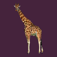 Giraffe Premium Tee | Teevron