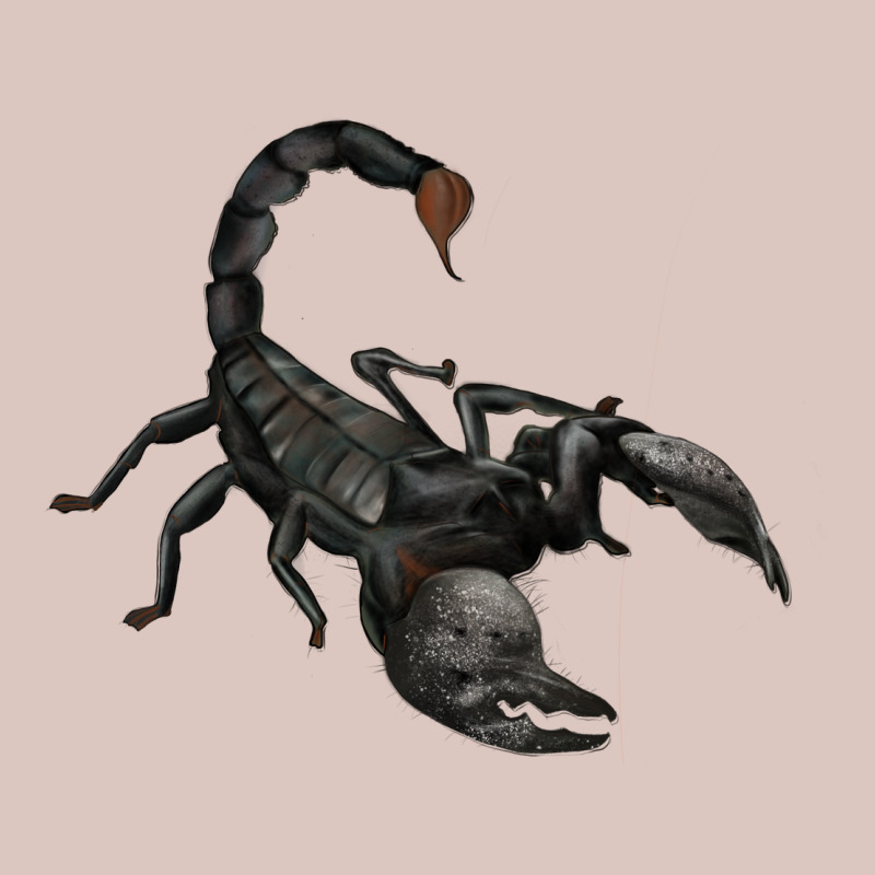 Scorpion Premium Hoodie by JahusDesignShop | Teevron