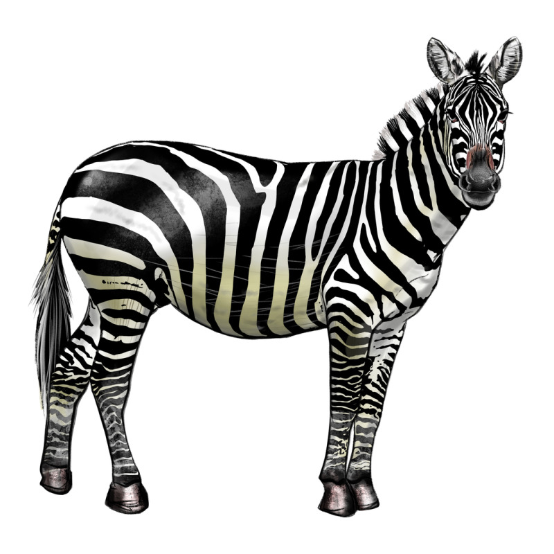 Zebra Premium Tee by LillyAllenDesigns | Teevron