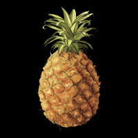 Pineapple Heavy Core Tee | Teevron