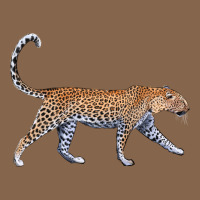 Leopard Premium Tee | Teevron