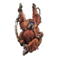Orangutan And Baby Premium Tee | Teevron
