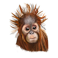 baby orangutan | Teevron