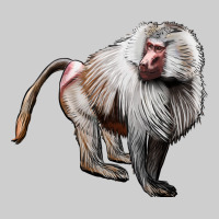 Baboon Premium Tee | Teevron