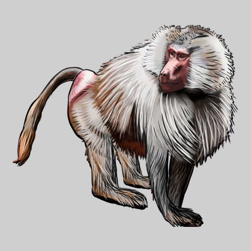 Baboon Premium Tee by LillyAllenDesigns | Teevron