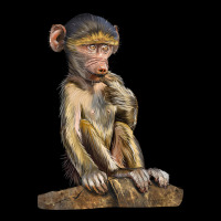 Baby Baboon Illustrations Premium Tee | Teevron