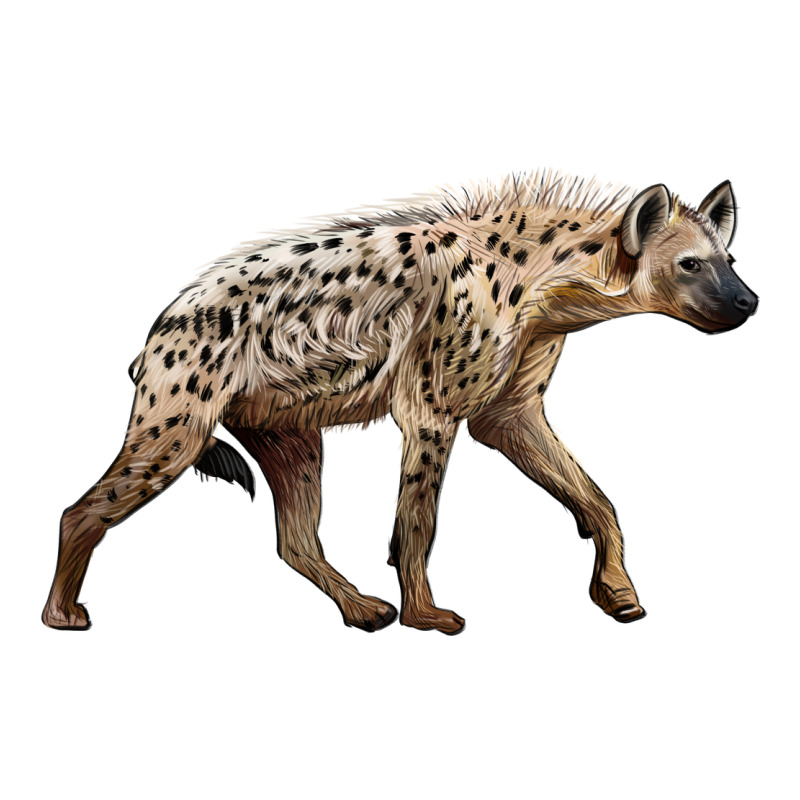 Hyena Premium Tee by LillyAllenDesigns | Teevron