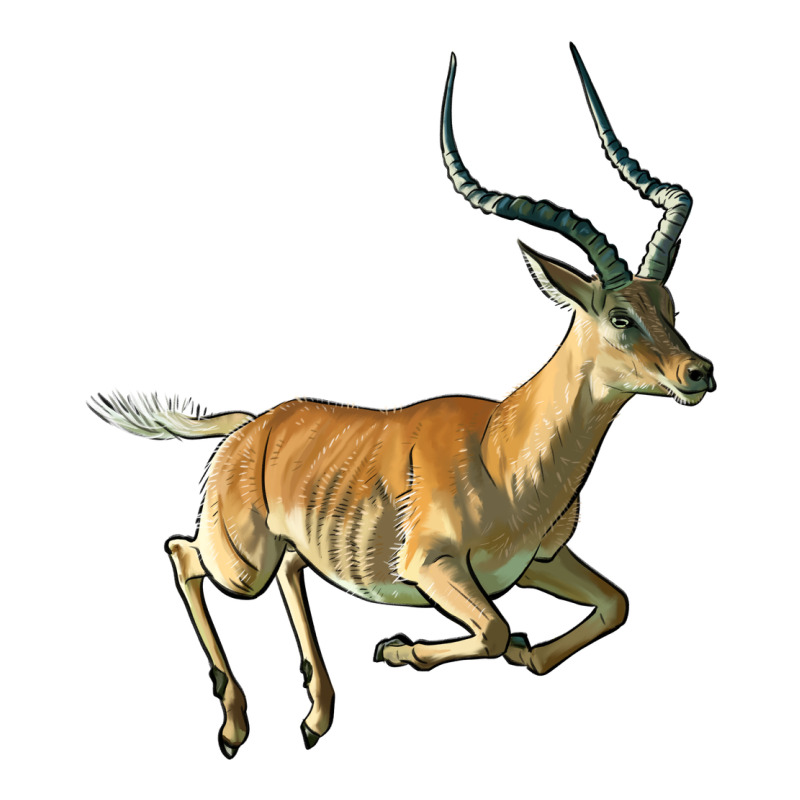 Impala Antelope Illustrations Premium Tee by LillyAllenDesigns | Teevron