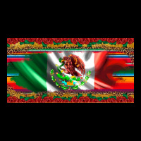 Mexico Flag Serape Roses Leopard And Glitter Licanse Plate Heavy Core Tee | Teevron