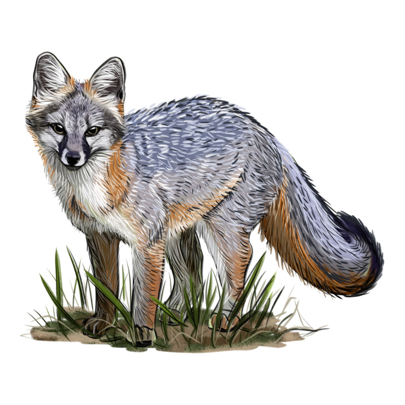 Gray Fox Premium Tee by LillyAllenDesigns | Teevron