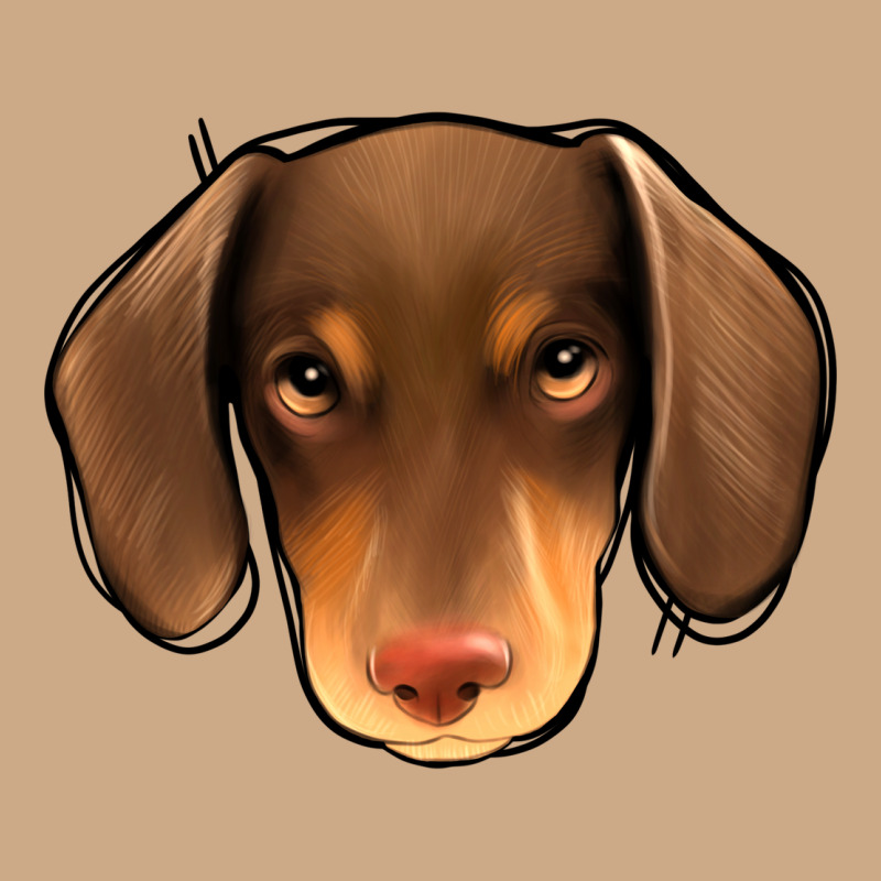Dachshund Vintage Hoodie by Jasminsmagicworld | Teevron