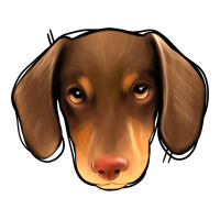 Dachshund | Teevron