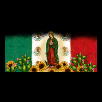 Lady Of Guadalupe Mexican Flag Premium Tee | Teevron