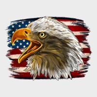 Western American Flag Eagle Urban Hoodie | Teevron
