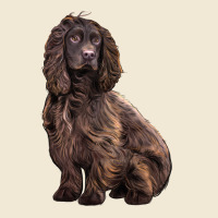 Boykin Spaniel Dog Premium Tee | Teevron