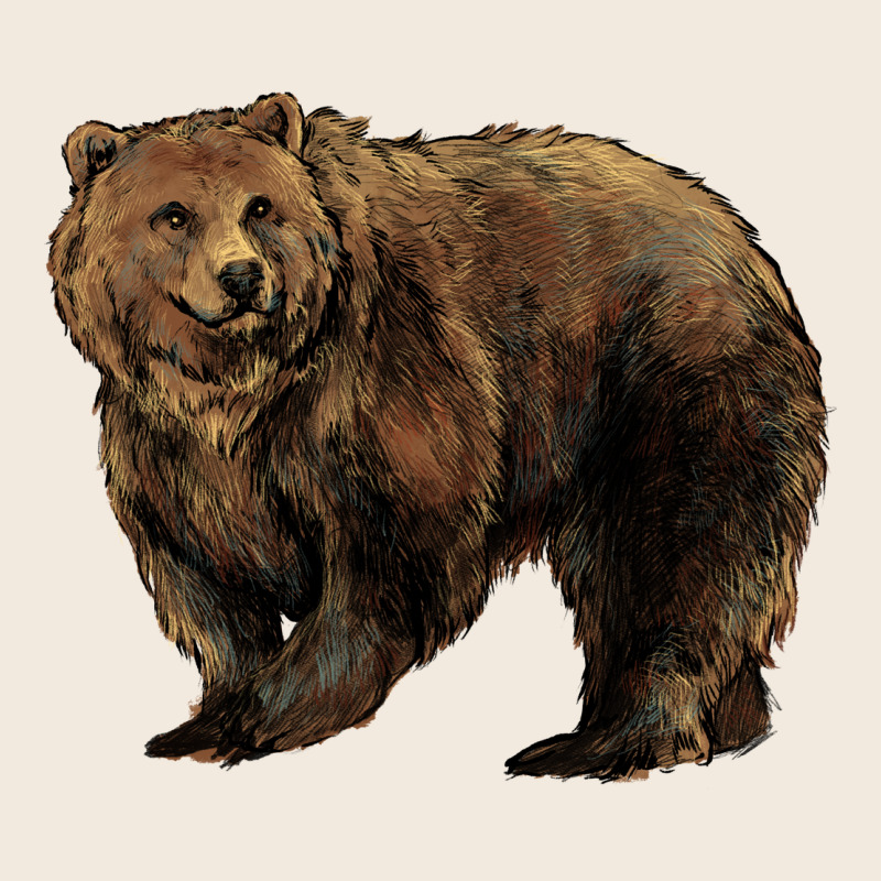 Grizzly Bear Zipper Hoodie by HowdyJamesFarm | Teevron