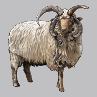 Navajo Churro Sheep Long Sleeve Tee | Teevron