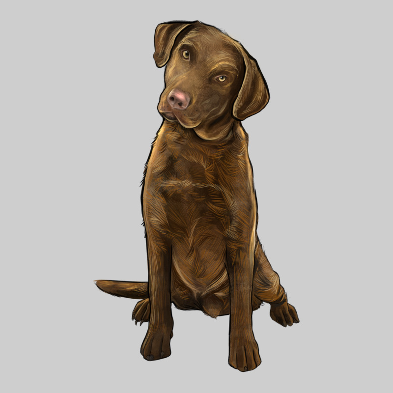 Chesapeake Bay Retriever Premium Tee by LillyAllenDesigns | Teevron
