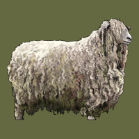 Lincoln Sheep Long Sleeve Tee | Teevron