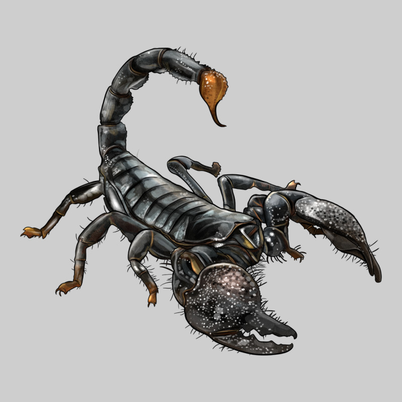 Scorpion Premium Tee by LillyAllenDesigns | Teevron