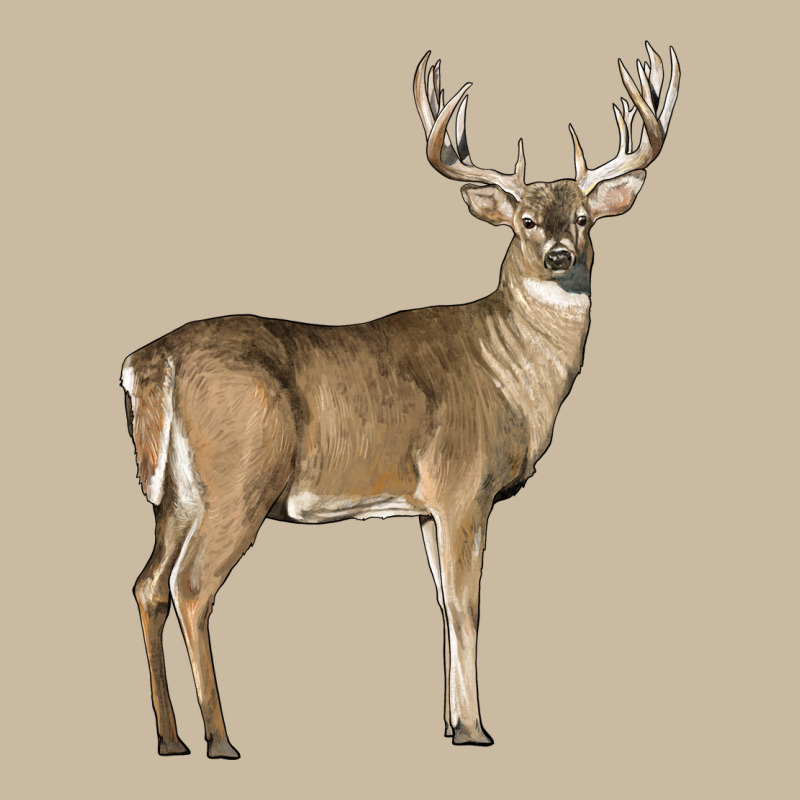 White Tailed Buck Deer Long Sleeve Tee by LillyAllenDesigns | Teevron