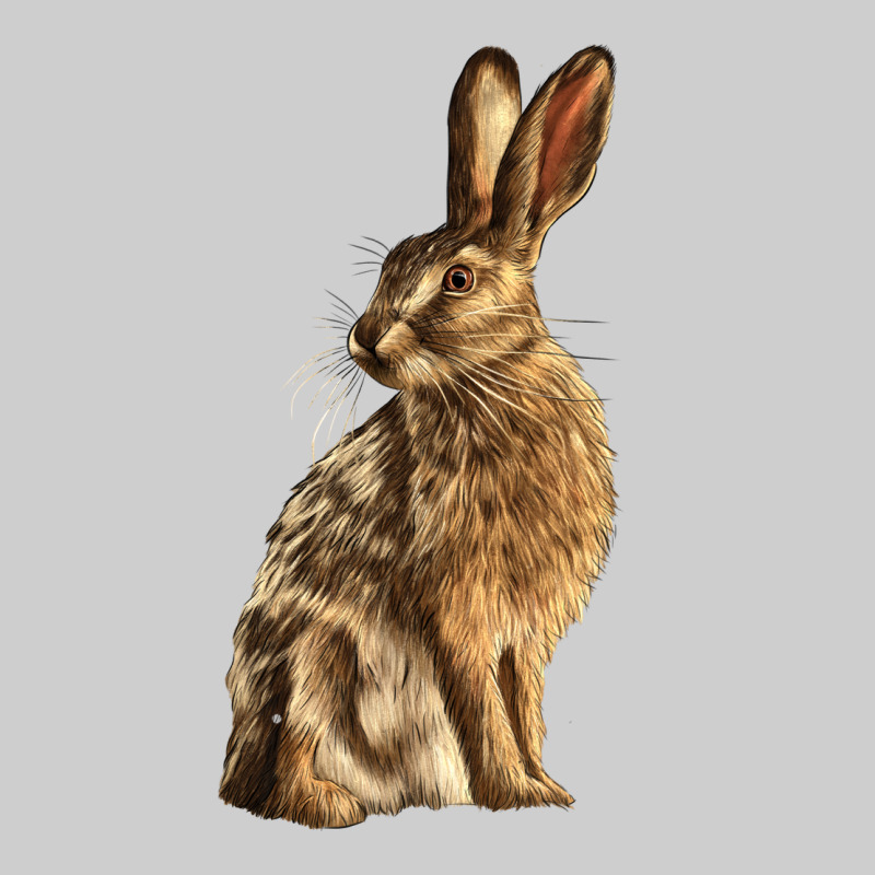 Hares Premium Tee by LillyAllenDesigns | Teevron