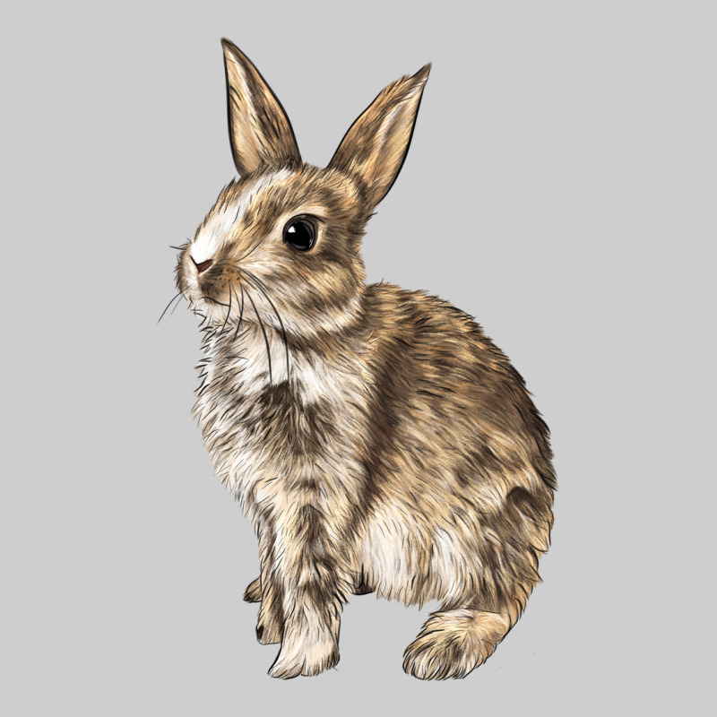 Rabbit Premium Tee by LillyAllenDesigns | Teevron
